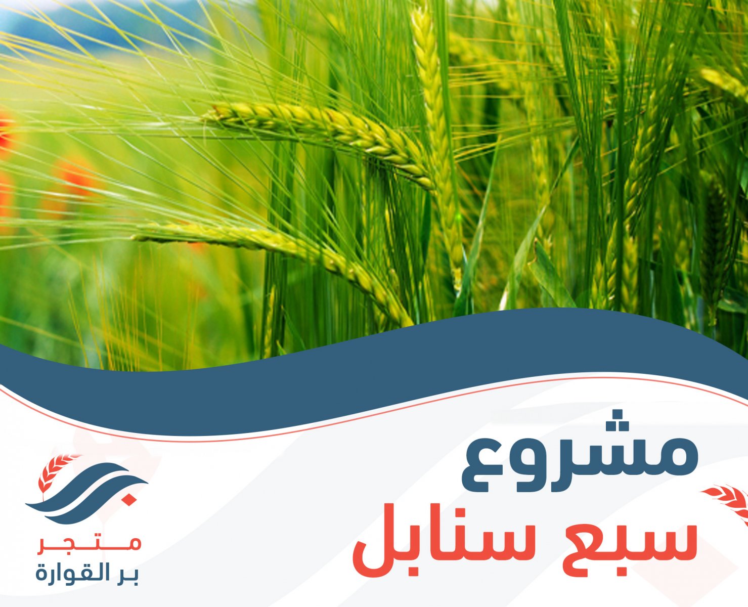 مشروع سبع سنابل | جمعية البر الخيرية بالقوارة
